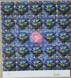 Pink Lotus by Lucifer