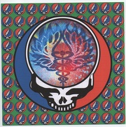 steal your face green apo 400