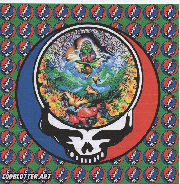 steal your face green PAN 400.jpg