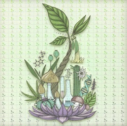 Botanicals