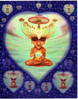 scan-20241129 15205307 0190