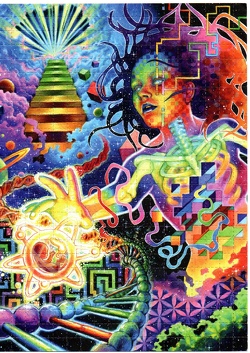 scan-20241130 16004778 0210