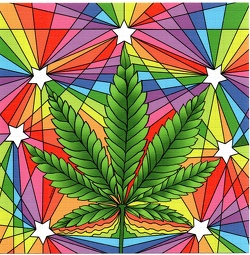 scan-20241130 16143325 0217