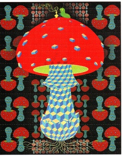 scan-20241130 16402492 0231