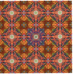 scan-20241130 16544335 0238