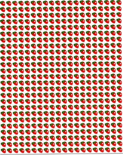 scan-20241202 21181544 0266