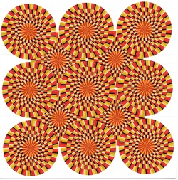 scan-20241202 23012880 0279